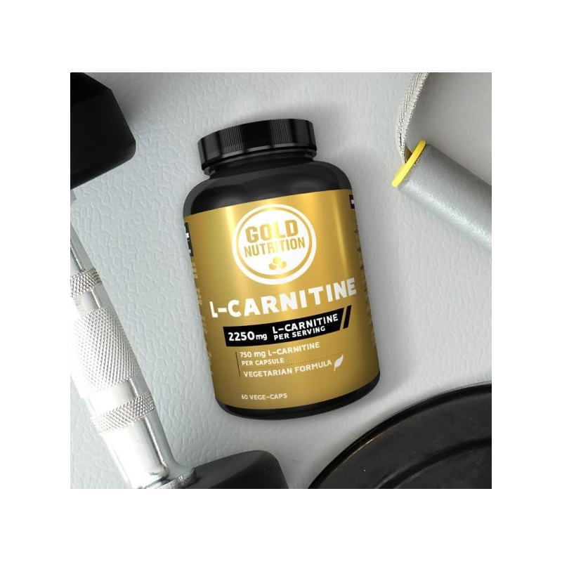 L-CARNITINE 750 GR